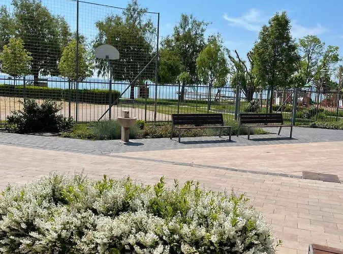 Setany Kucko バラトンフレド